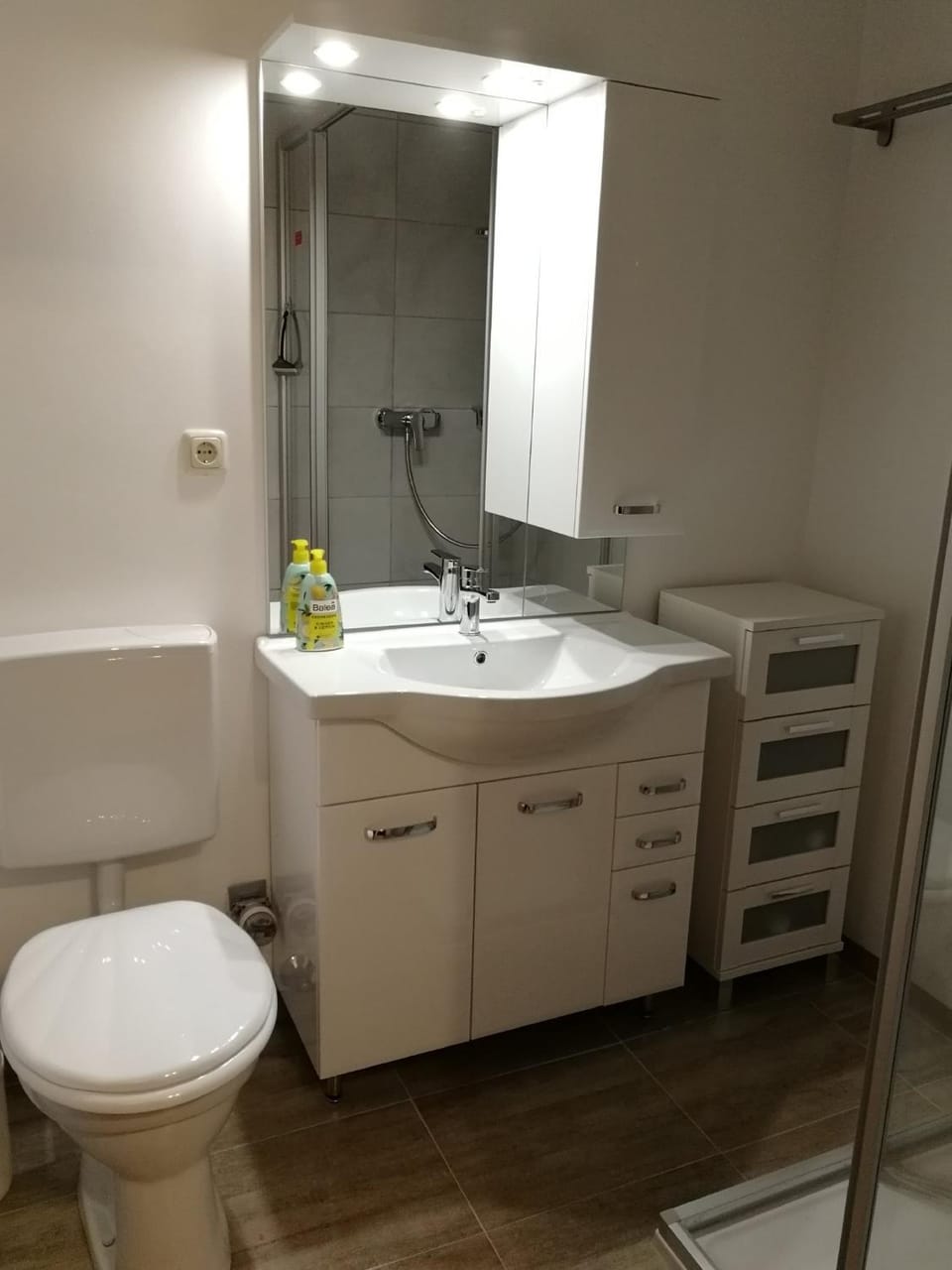 Bathroom, Living room