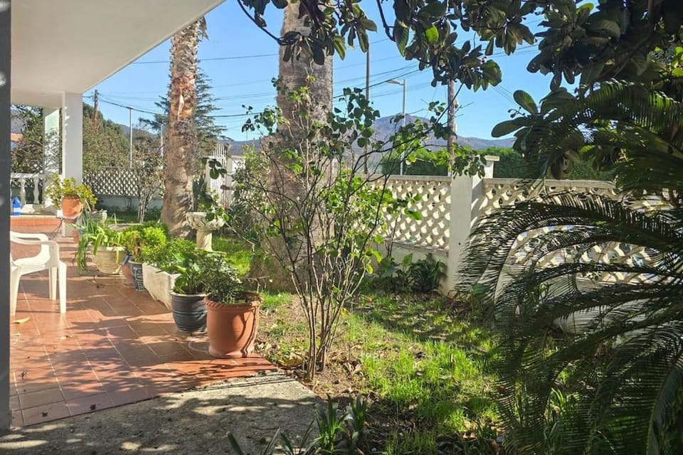 Day, Garden, Garden view