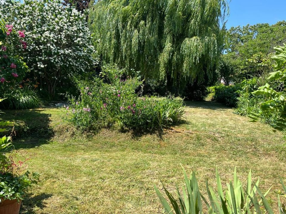 Day, Natural landscape, Garden, Garden, Balcony/Terrace, Garden view