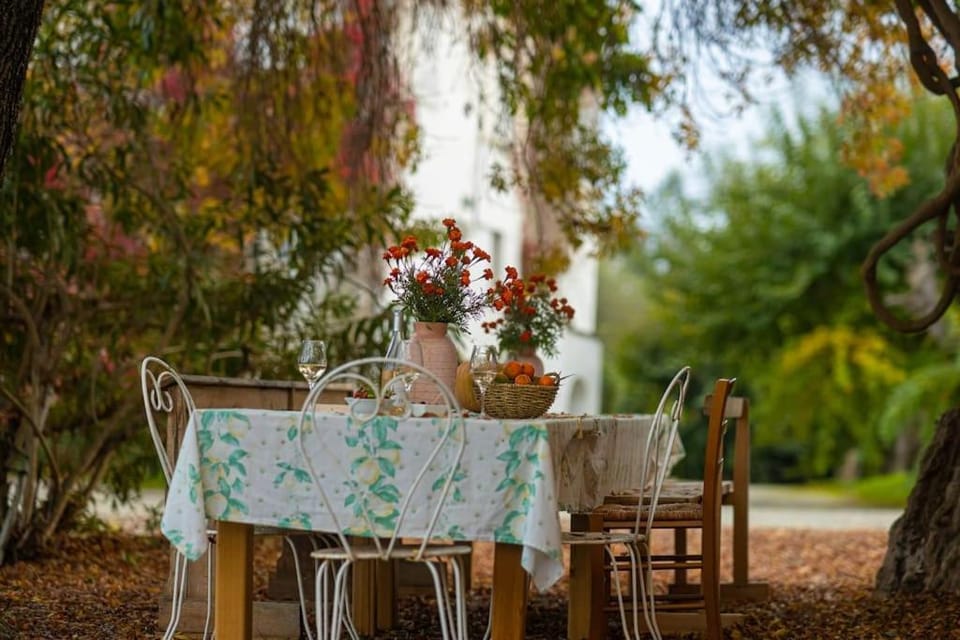 Spring, Garden, Dining area