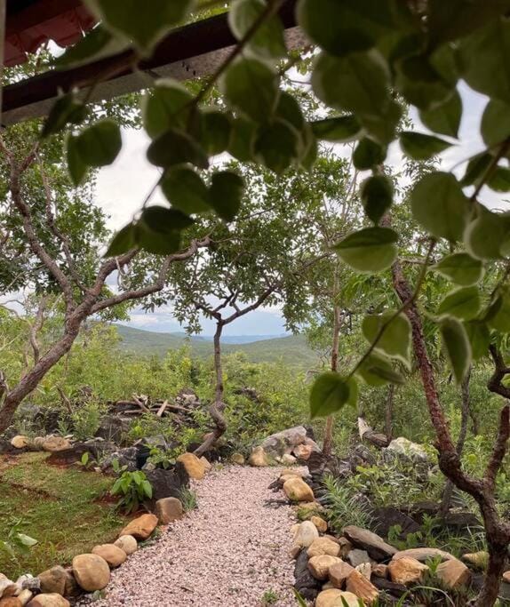 Natural landscape, Garden, Garden view