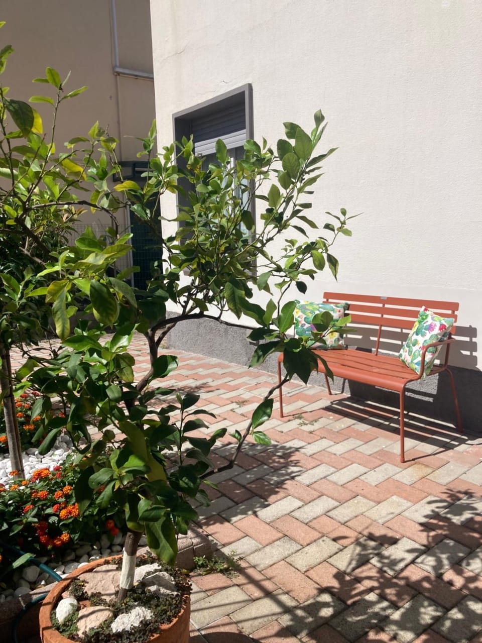 Inner courtyard view