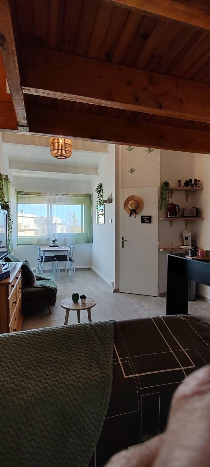 Parfum des pins récemment rénové Apartment in Narbonne