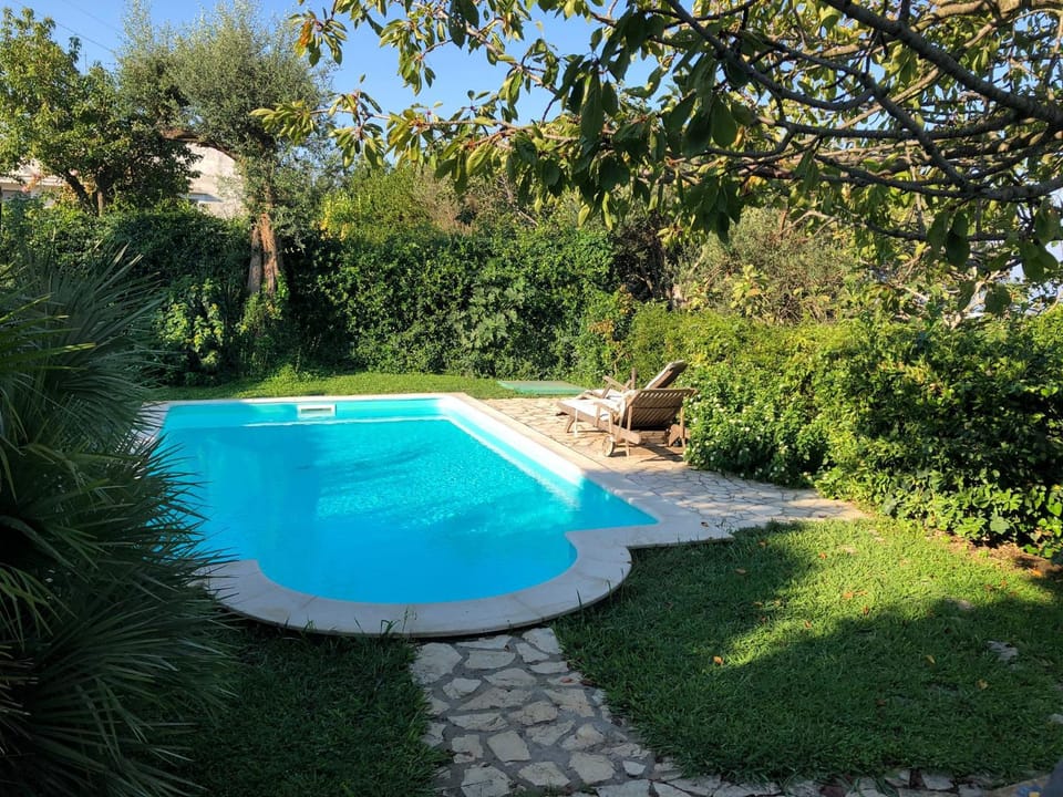 Pool view, Swimming pool, sunbed