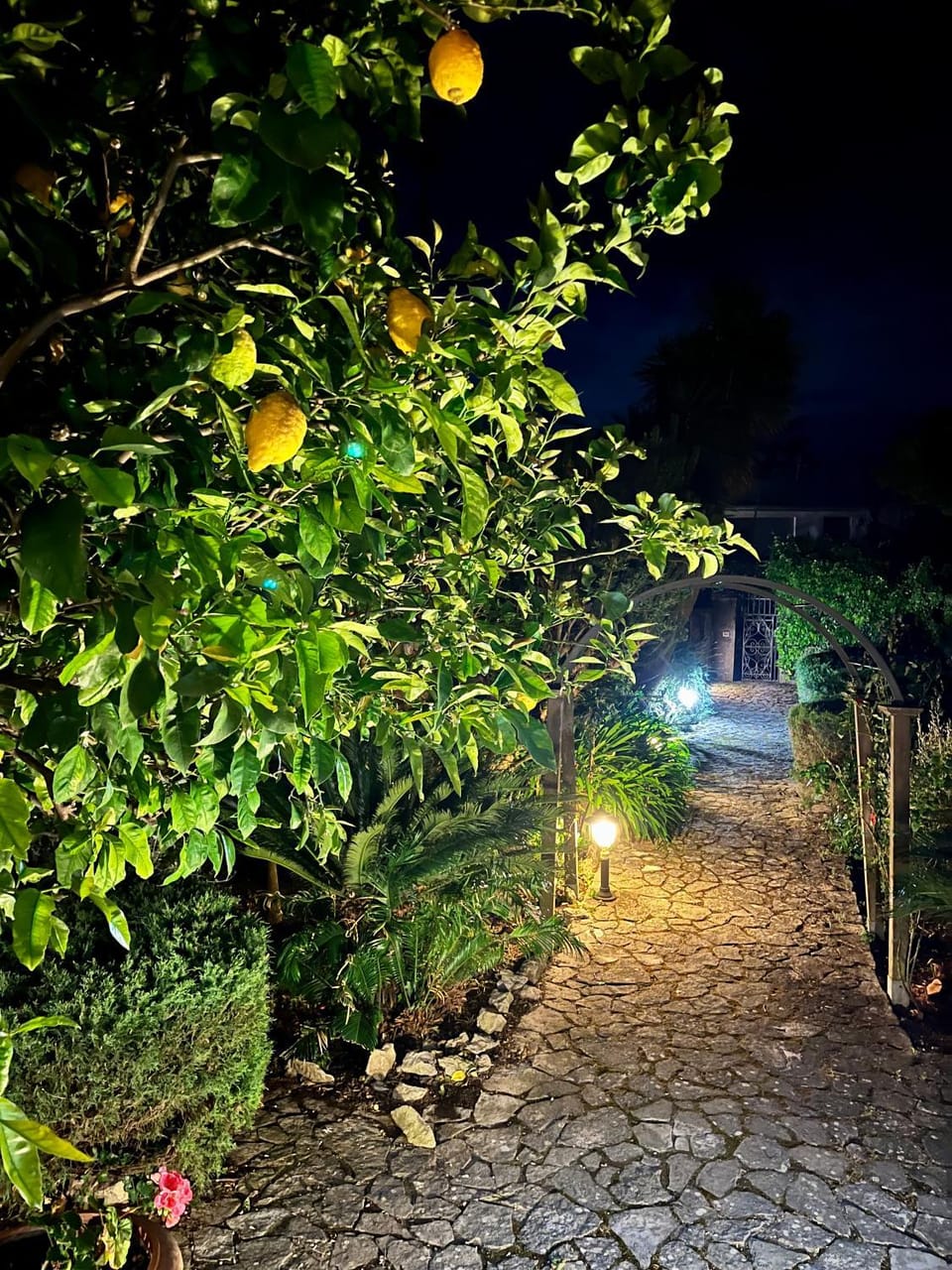 Garden view
