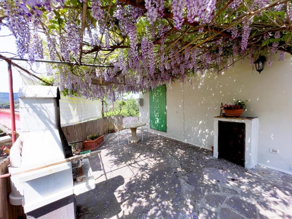 Patio, Garden, Dining area, Garden view