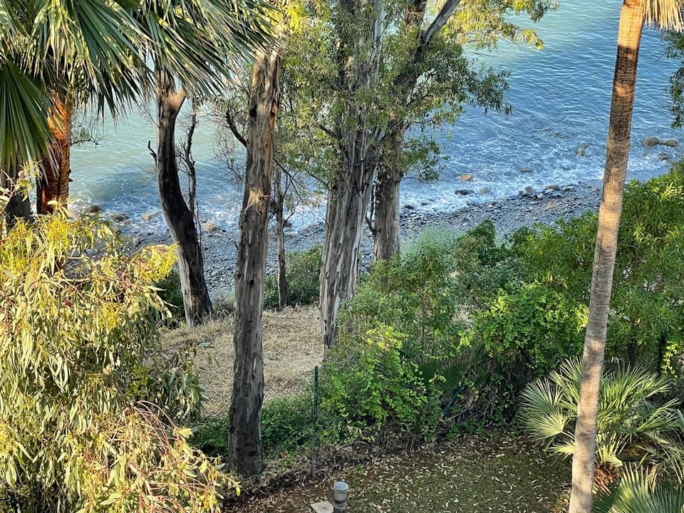 View (from property/room)