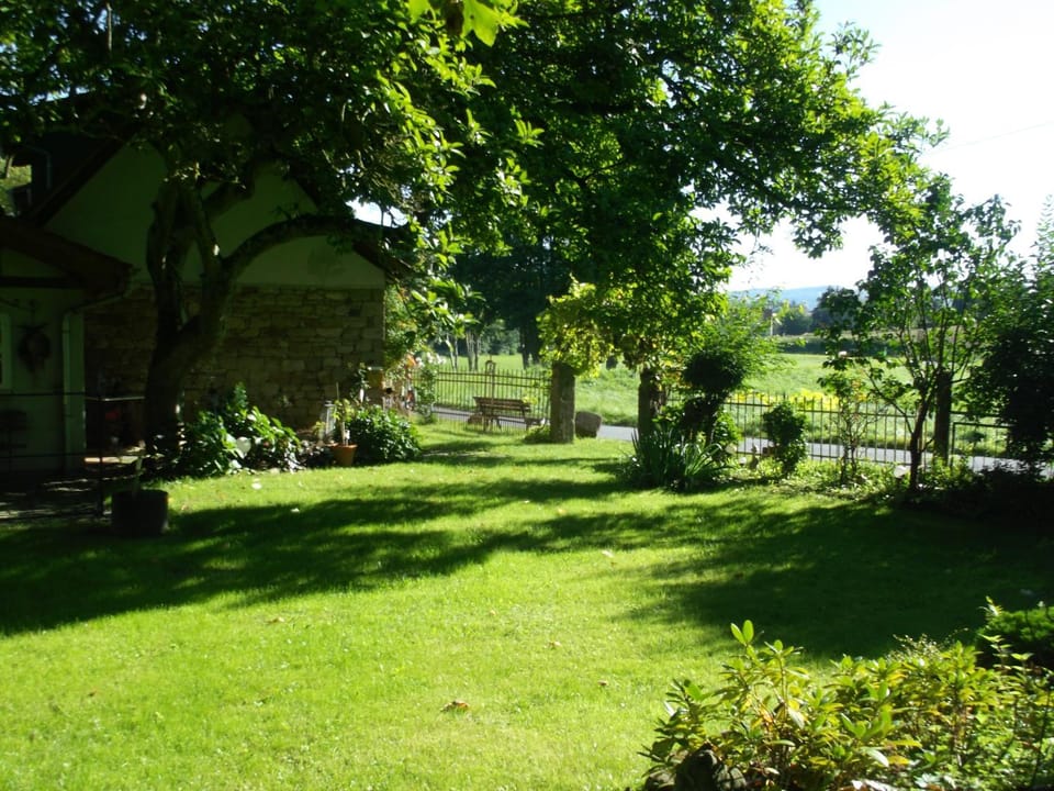 Spring, Day, Natural landscape, Garden, Garden view