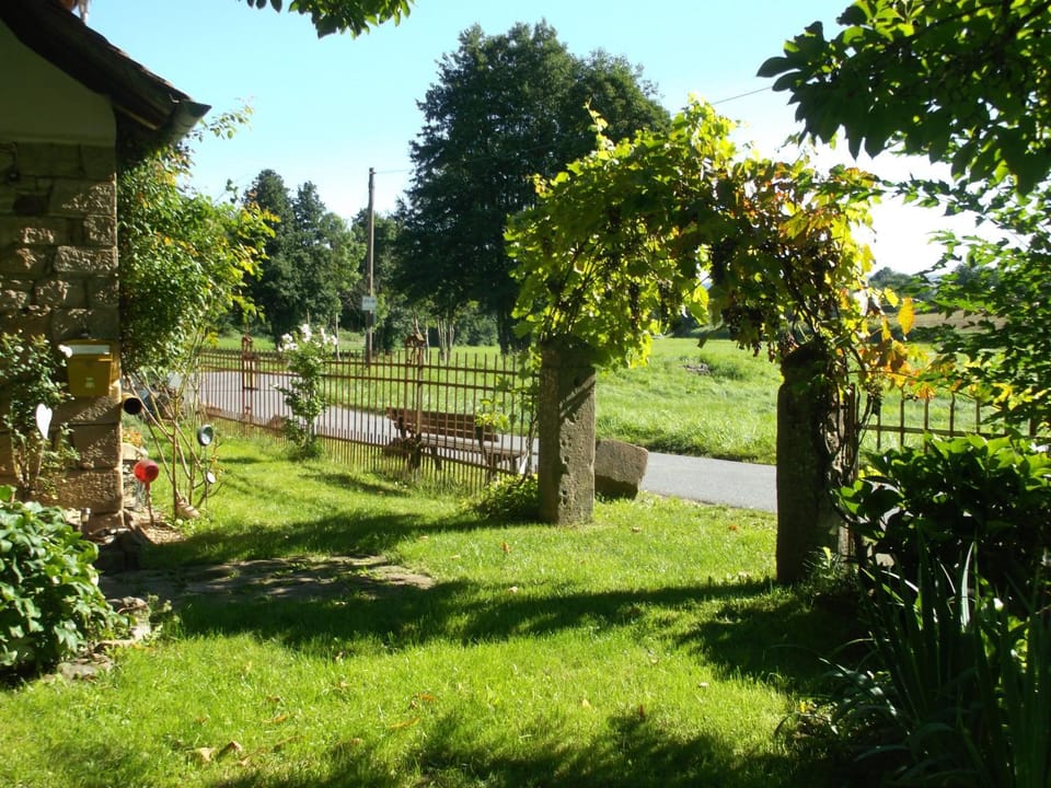 Day, Natural landscape, Garden