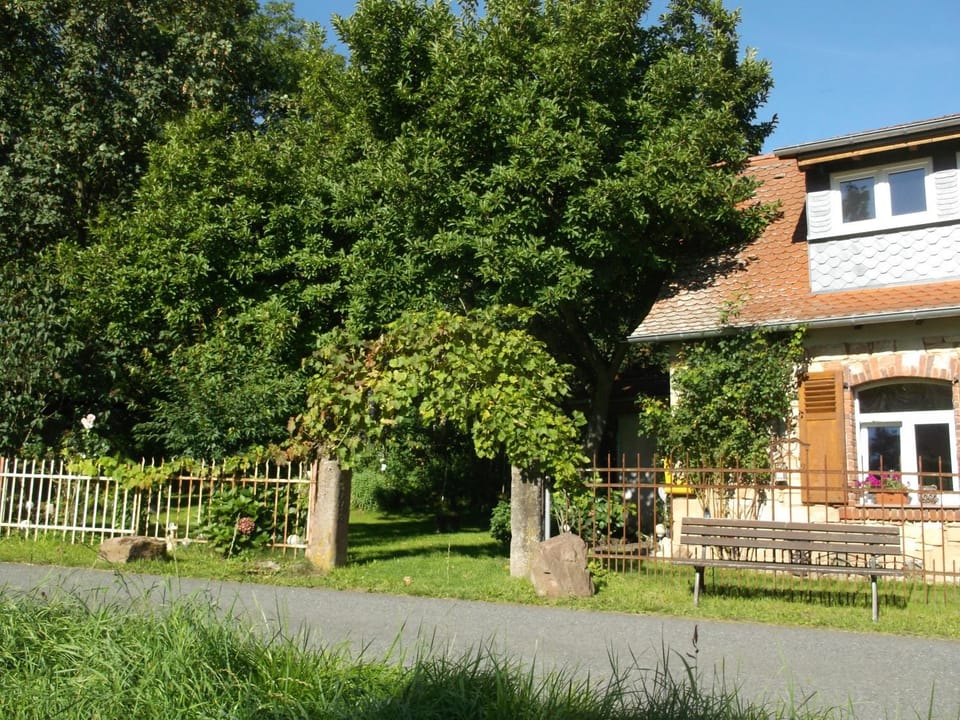 Property building, Spring, Day, Natural landscape, Garden, Garden view