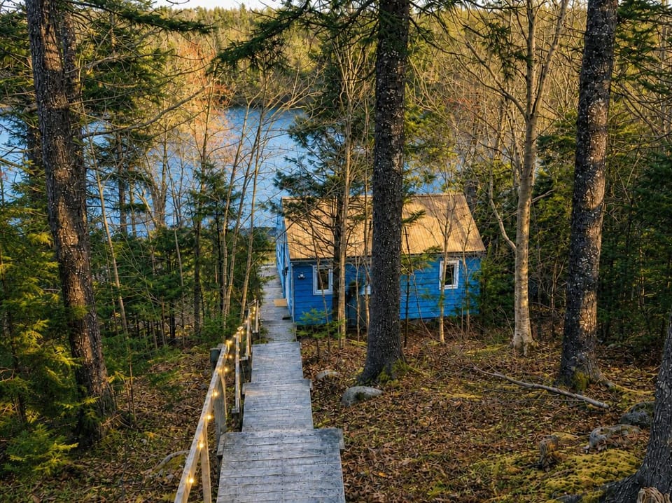 Property building, Facade/entrance, Night, Natural landscape, View (from property/room), Lake view