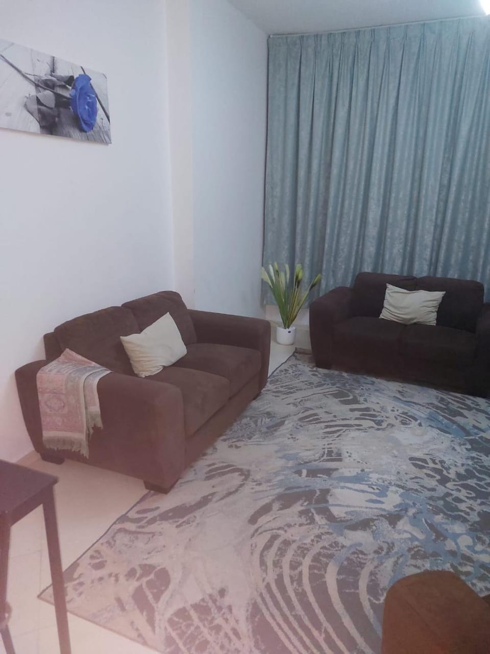 orient 1 BHK APARTMENT Apartment in Ajman