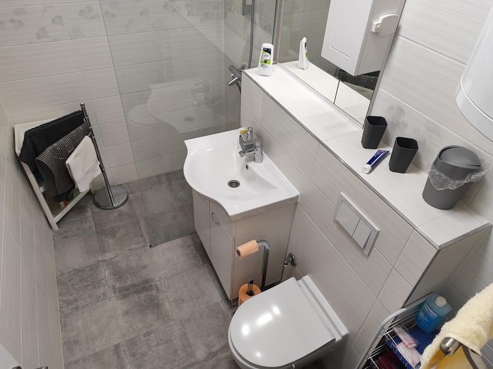 Shower, Toilet, Bathroom