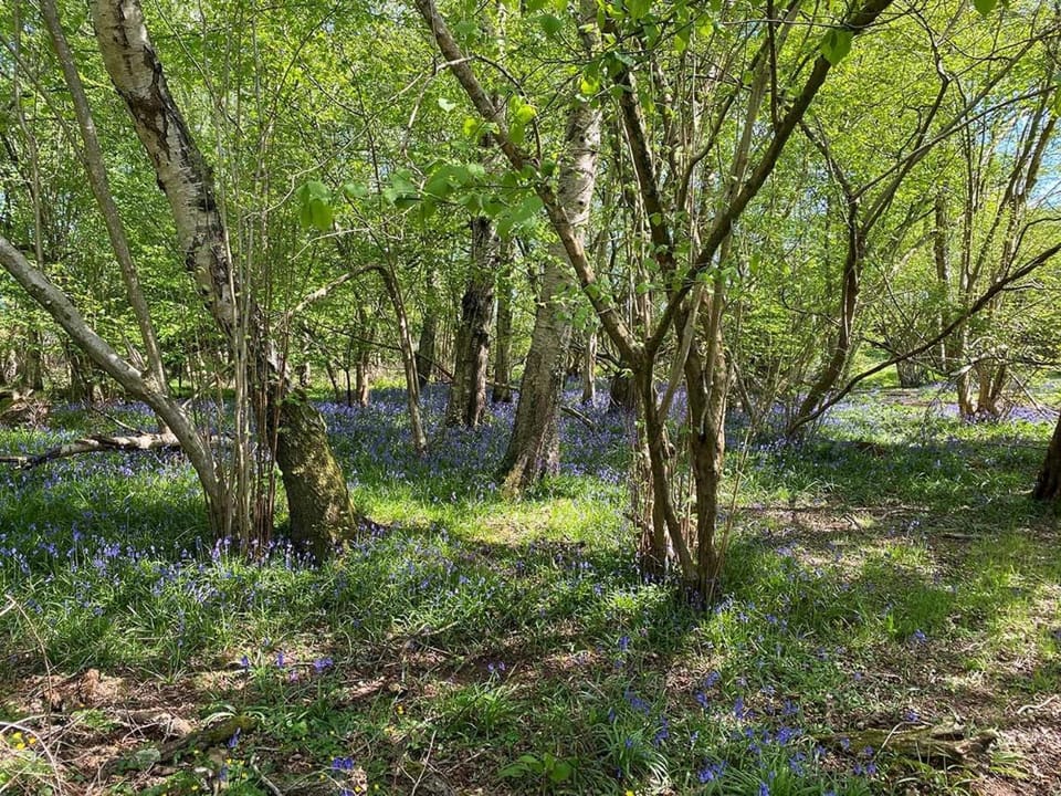 Nettlebed Farm Holiday Lets Barn3 House in Eastleigh District