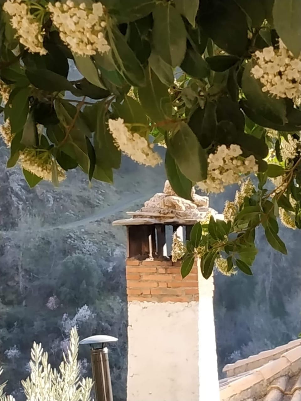 Cortijo La Solana Country House in Andalusia