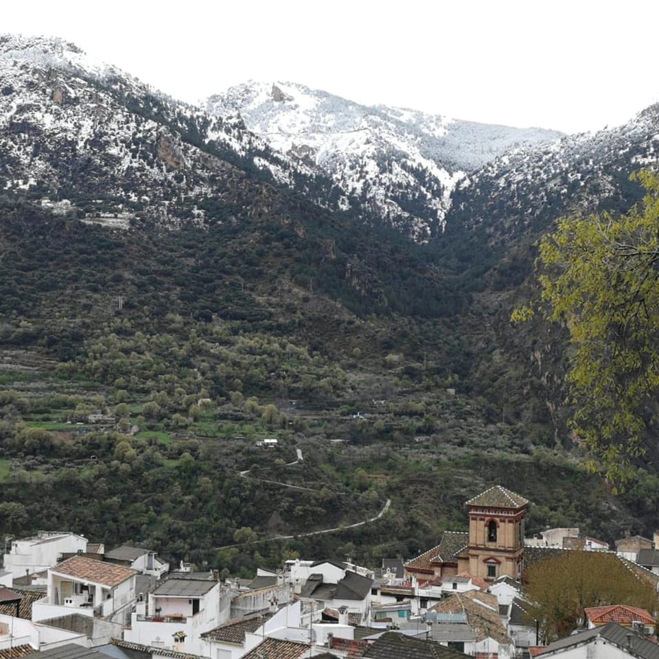 Nearby landmark, City view