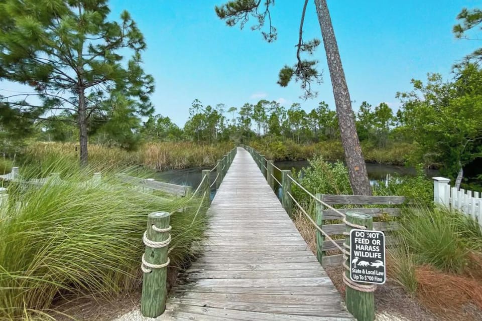 Nearby landmark, Activities