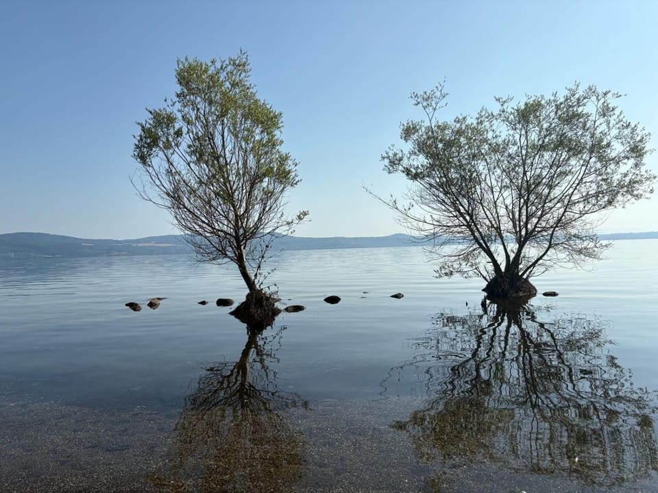 Casa gioia Apartment in Bracciano