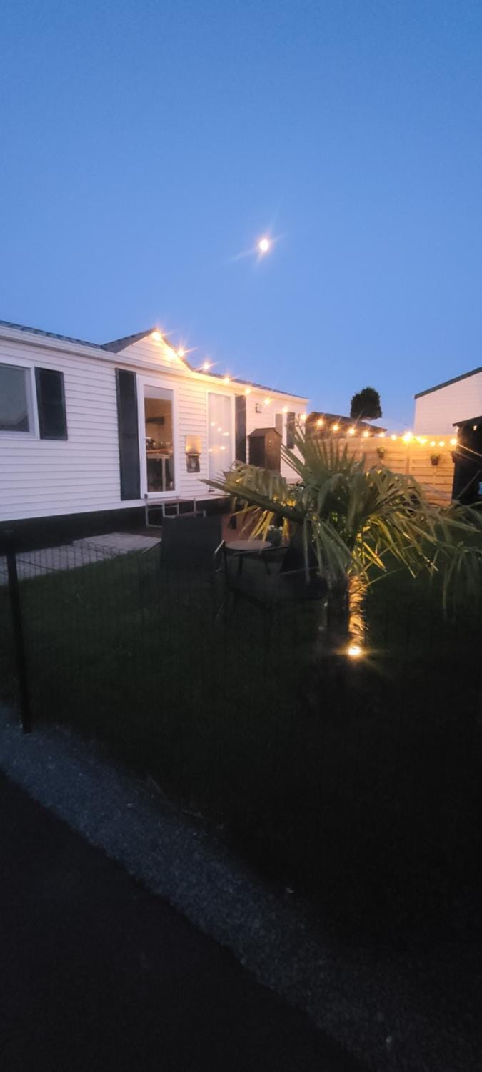 Night, Garden view