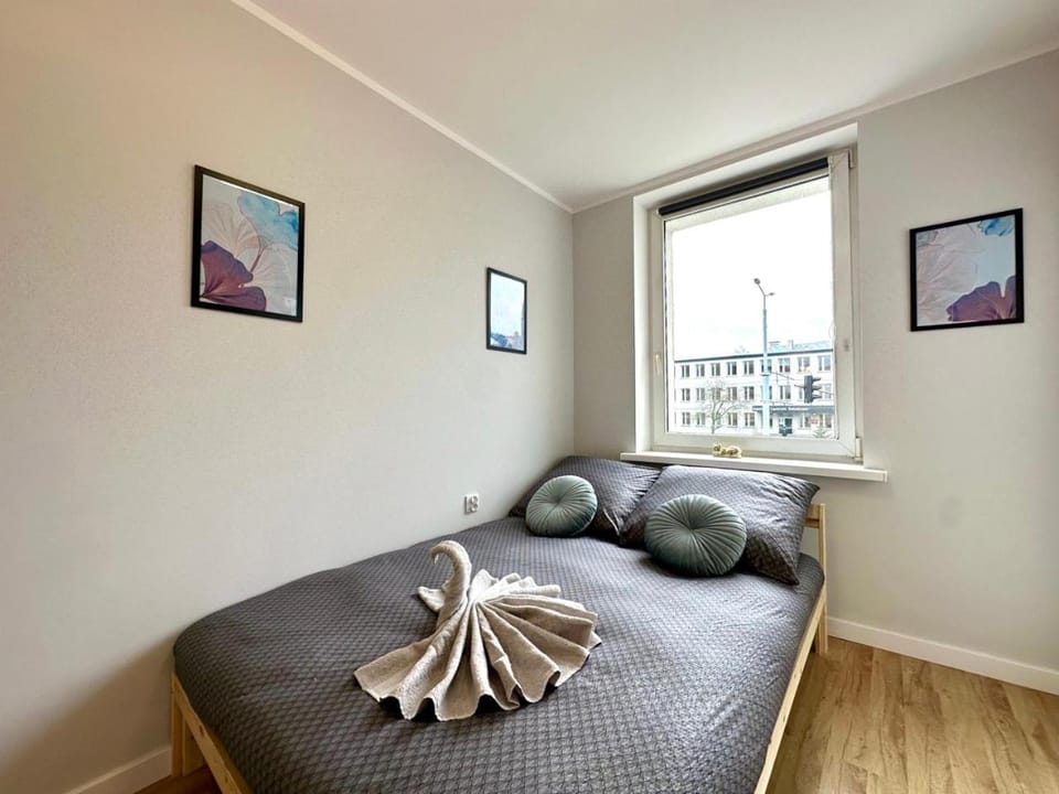 Bed, Photo of the whole room, towels