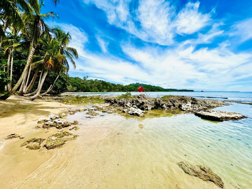 Day, Beach, Sea view