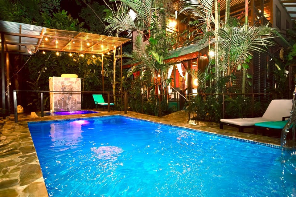 Night, Garden, Garden view, Pool view, Swimming pool, sunbed