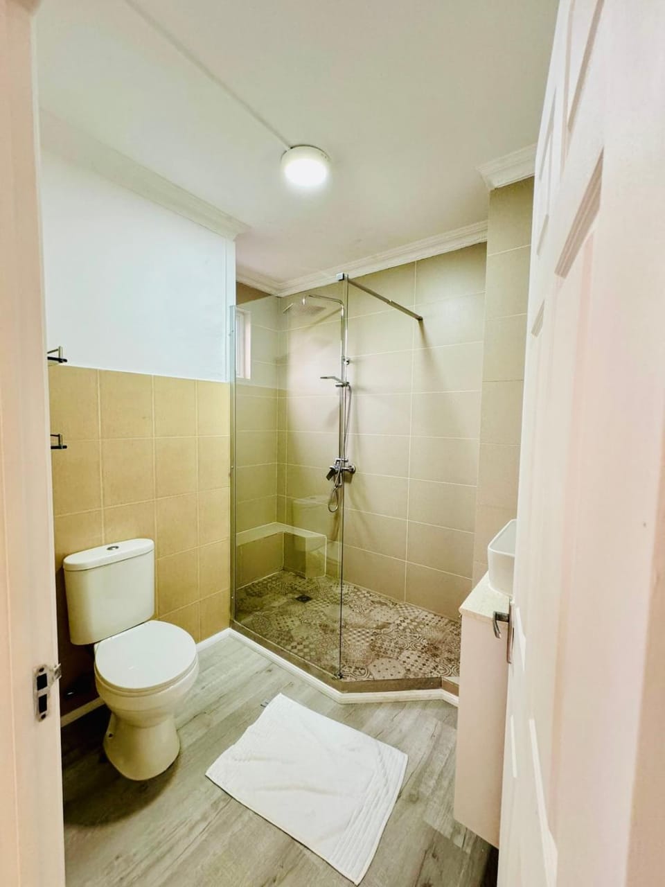 Shower, Toilet, towels