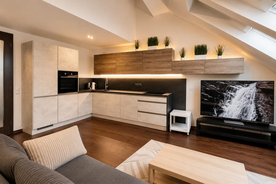 TV and multimedia, dishwasher, microwave, oven, stove, kitchen, air conditioner