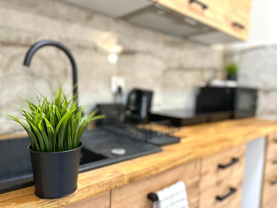 Kitchen or kitchenette, minibar, stove