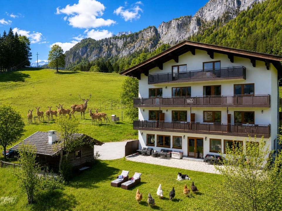 Berghof Haselsberger Bed and Breakfast in Salzburgerland
