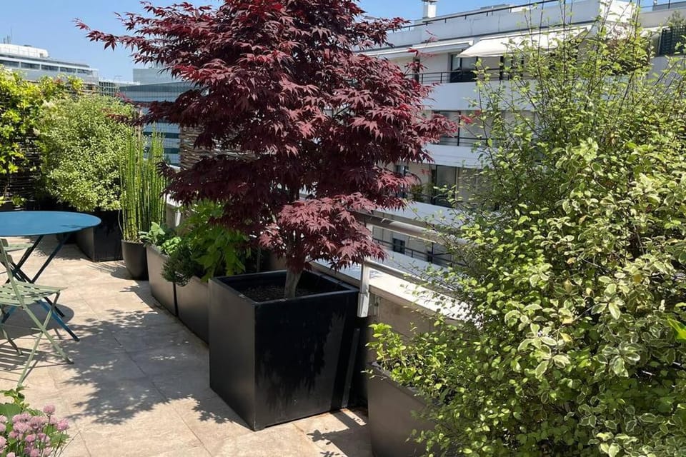 View (from property/room), Balcony/Terrace