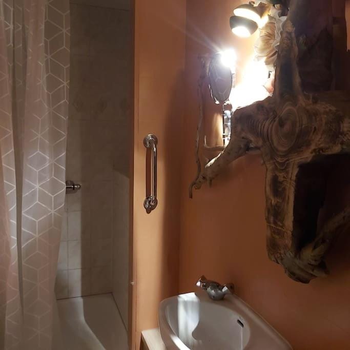 La petite souche Apartment in Wallonia, Belgium