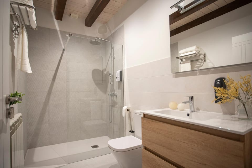 Shower, Toilet, Bathroom, towels