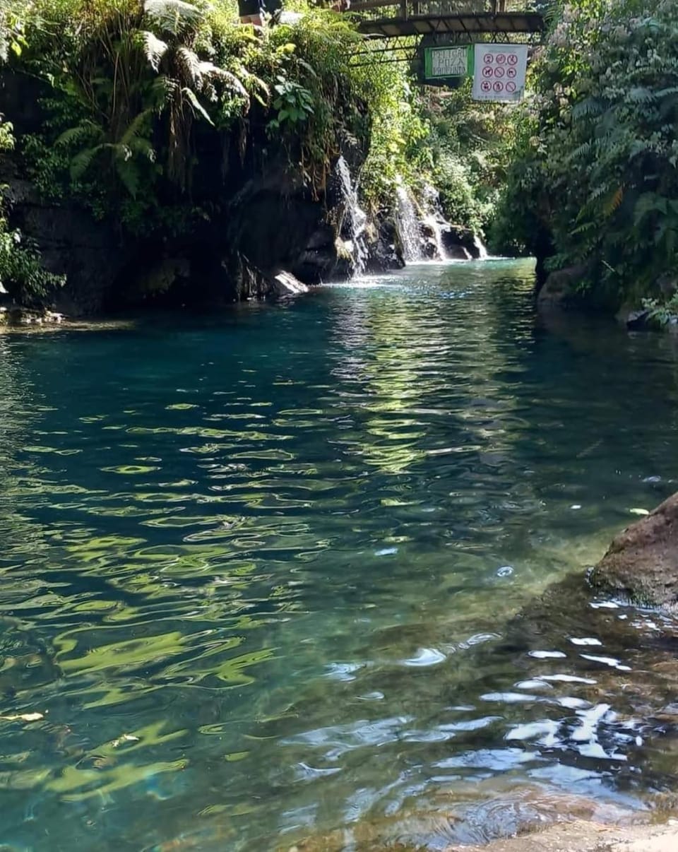 Natural landscape