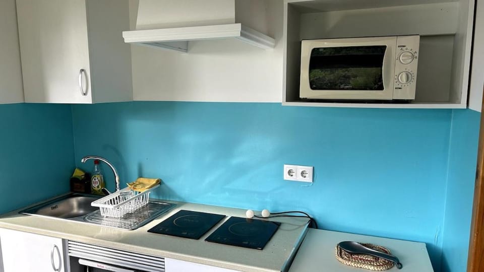 Kitchen or kitchenette, oven, stove