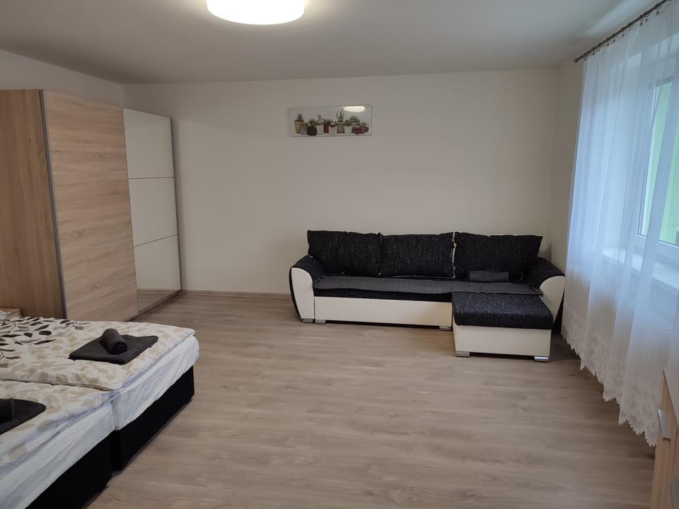 Living room, Bedroom