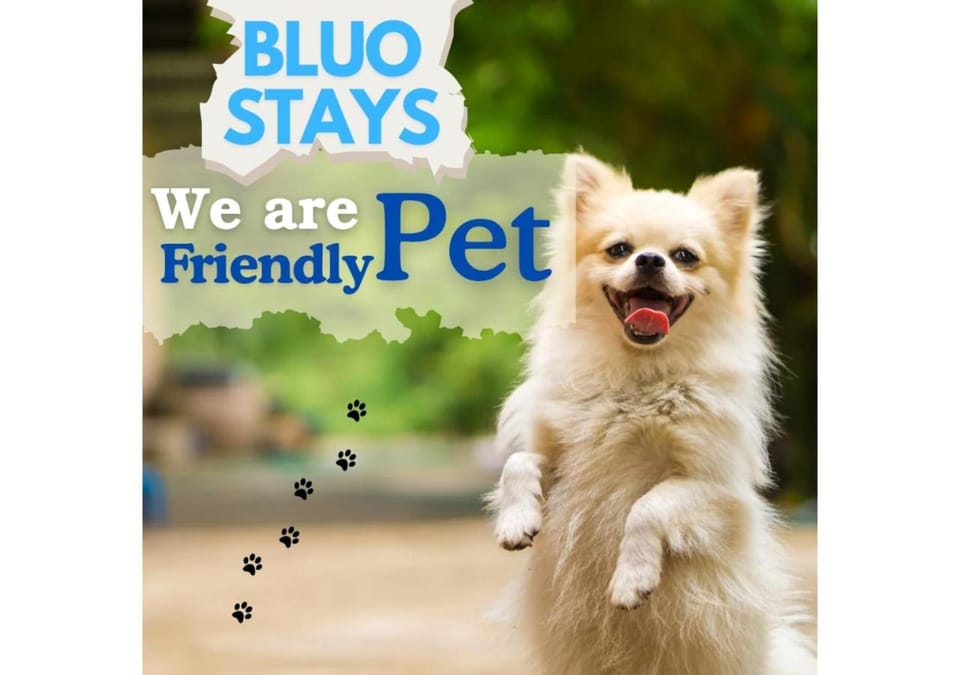 pet friendly