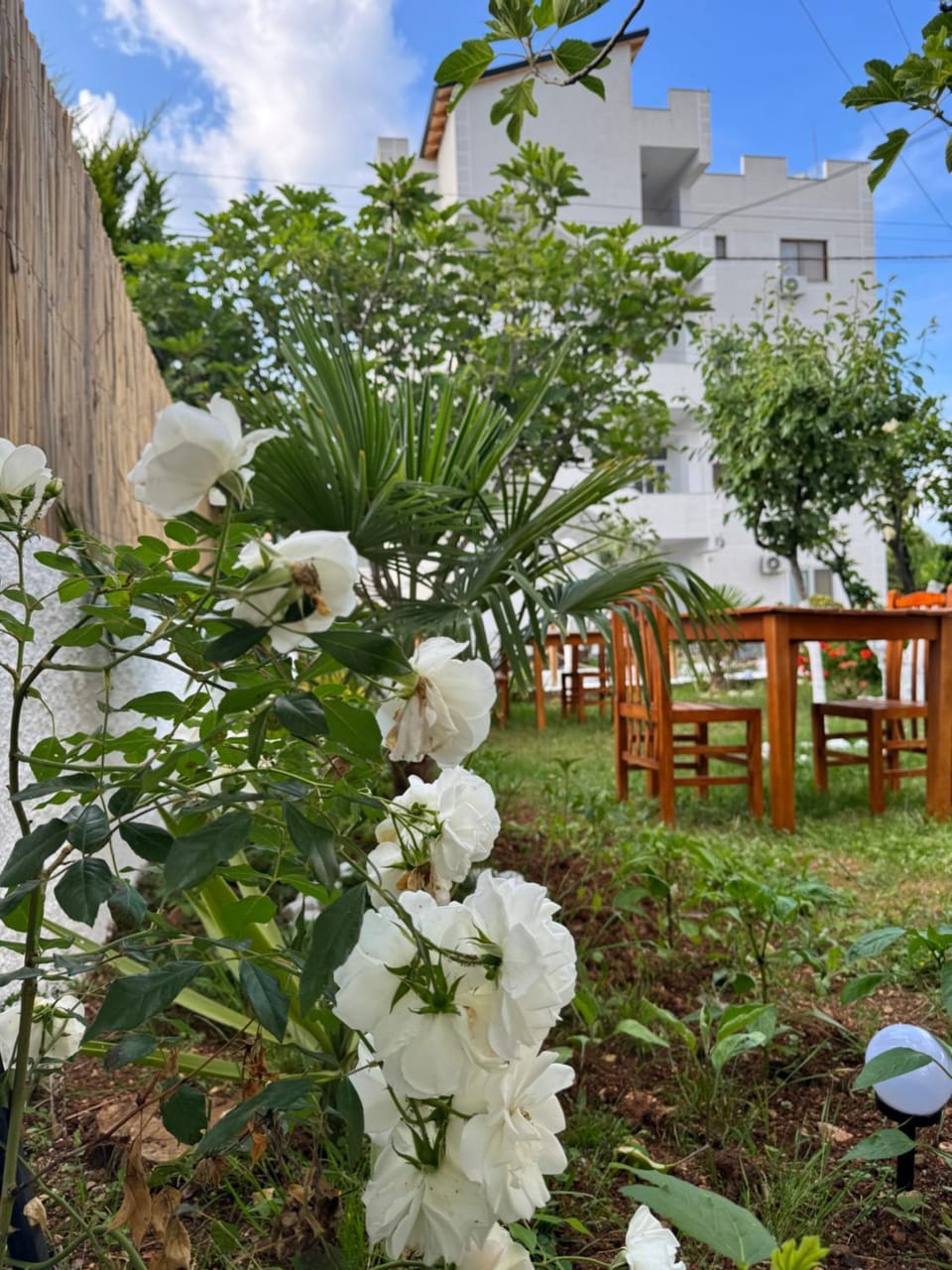 Property building, Garden view