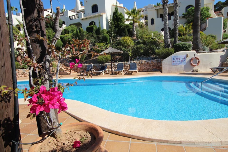 Property building, Patio, Day, Garden, Garden view, Pool view, Swimming pool, sunbed