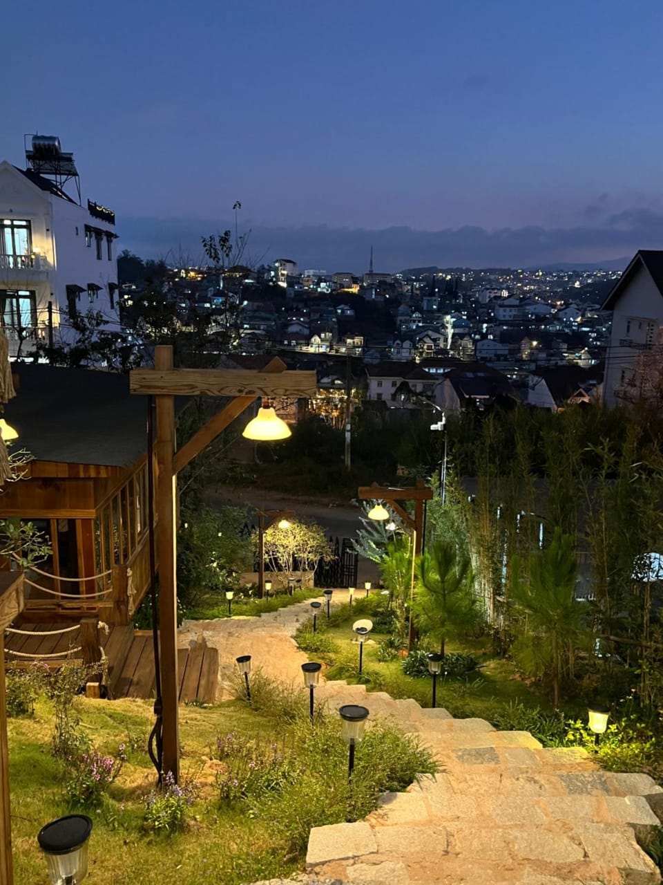 Garden, City view