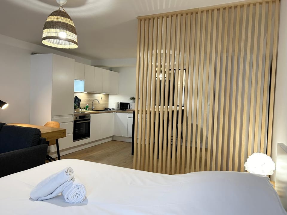 Appartement place de la république - Lille Apartment in Lille