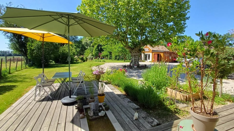 Patio, Natural landscape, Garden view
