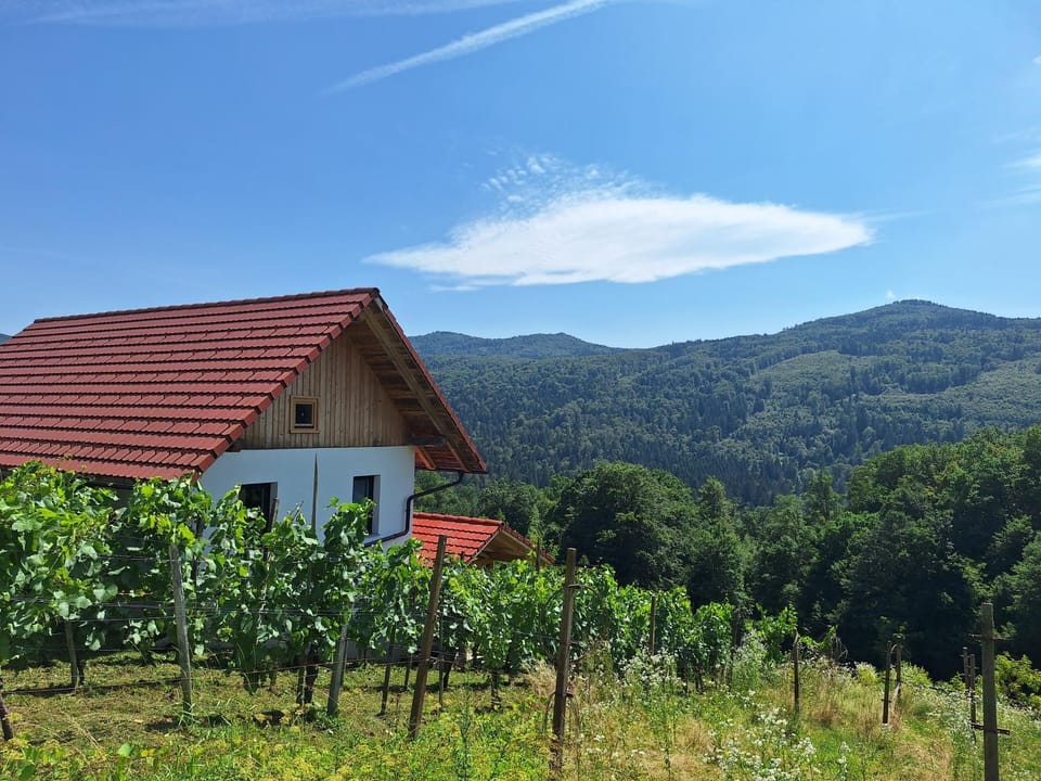 Natural landscape, Summer