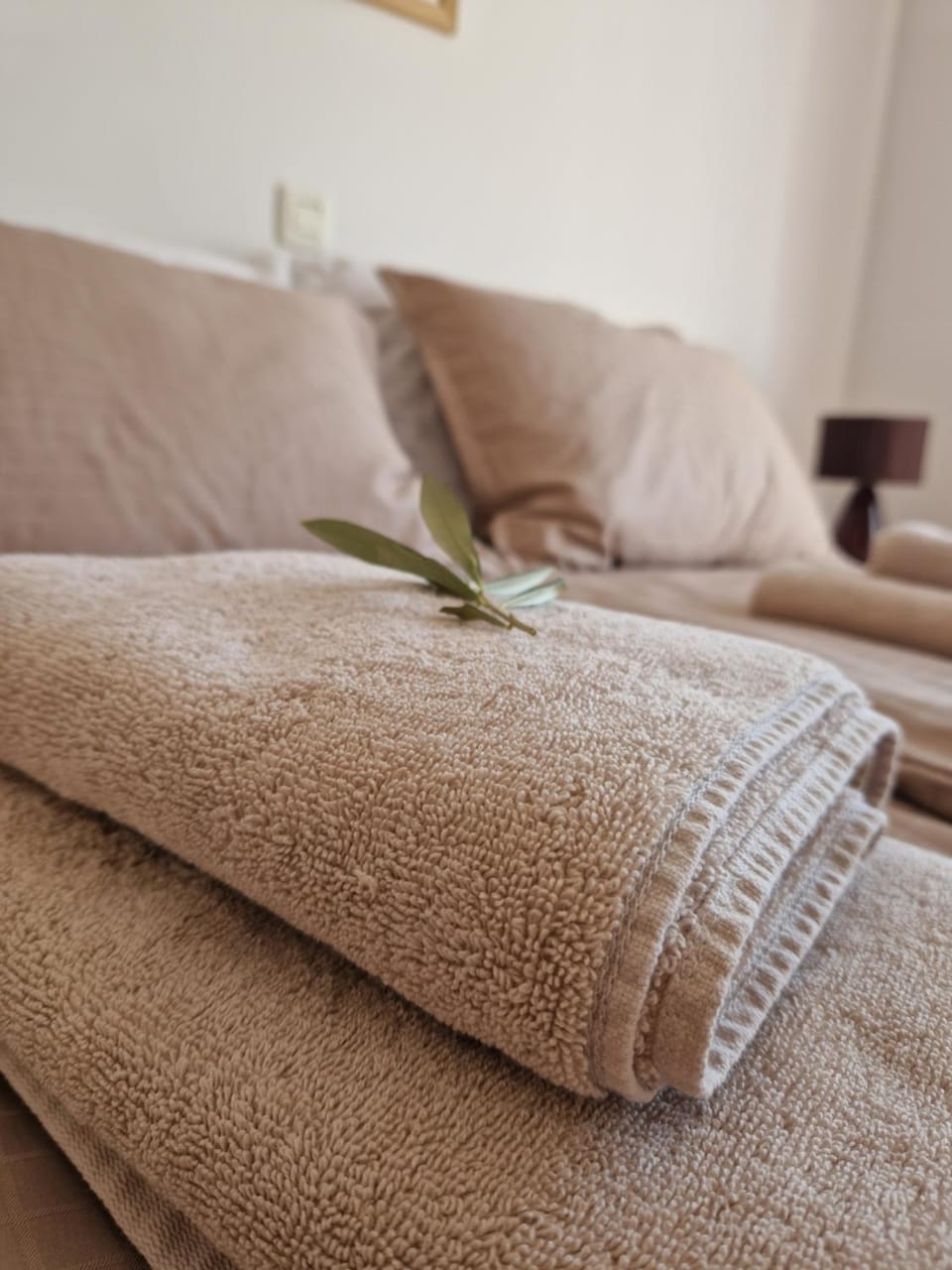 House Olive Garden Strunjan Apartment in Slovenia