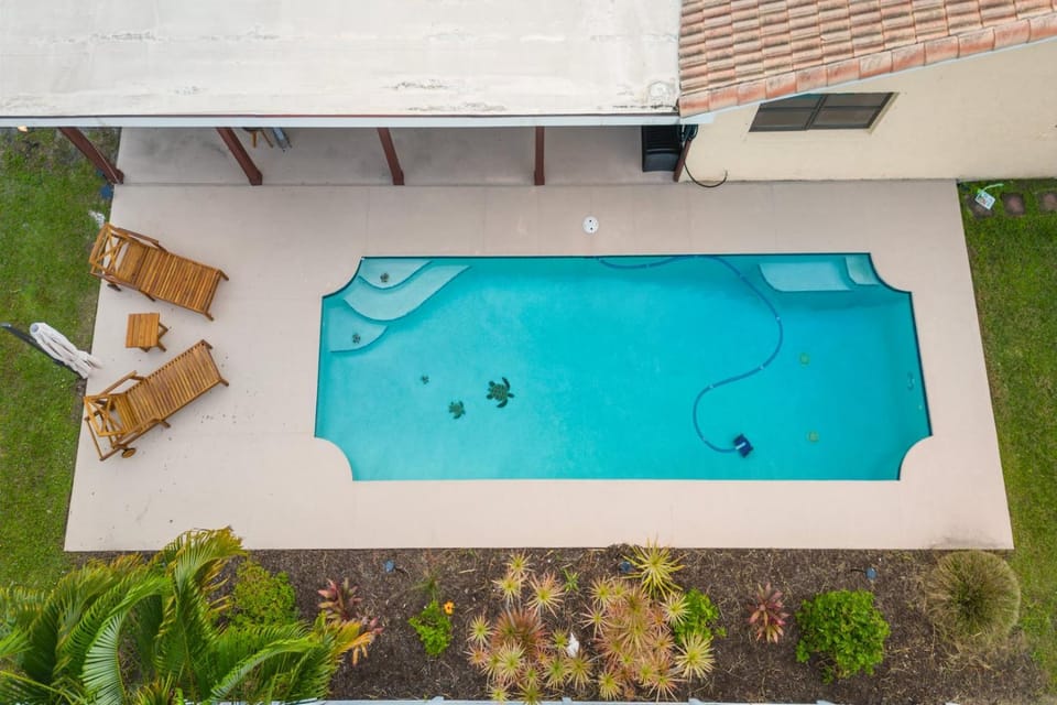 Day, Pool view, Swimming pool, Swimming pool, sunbed
