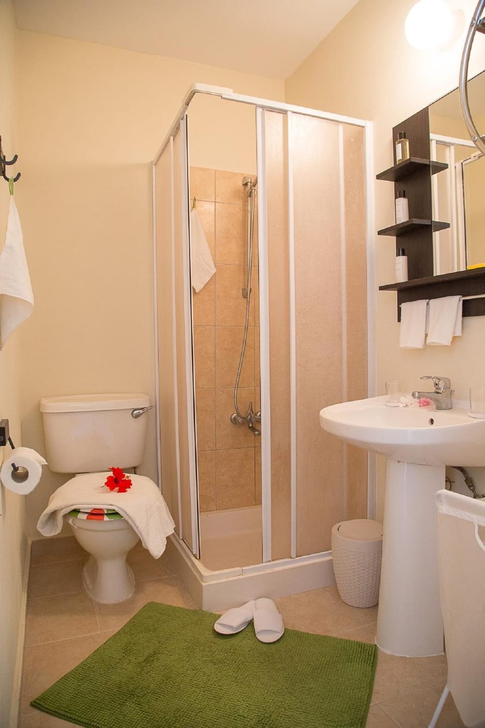 Shower, Toilet, Bathroom, Photo of the whole room