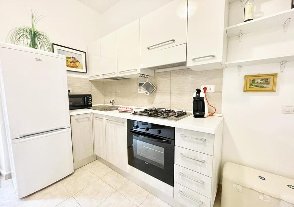 Kitchen or kitchenette, dishwasher, minibar, pet friendly, stove