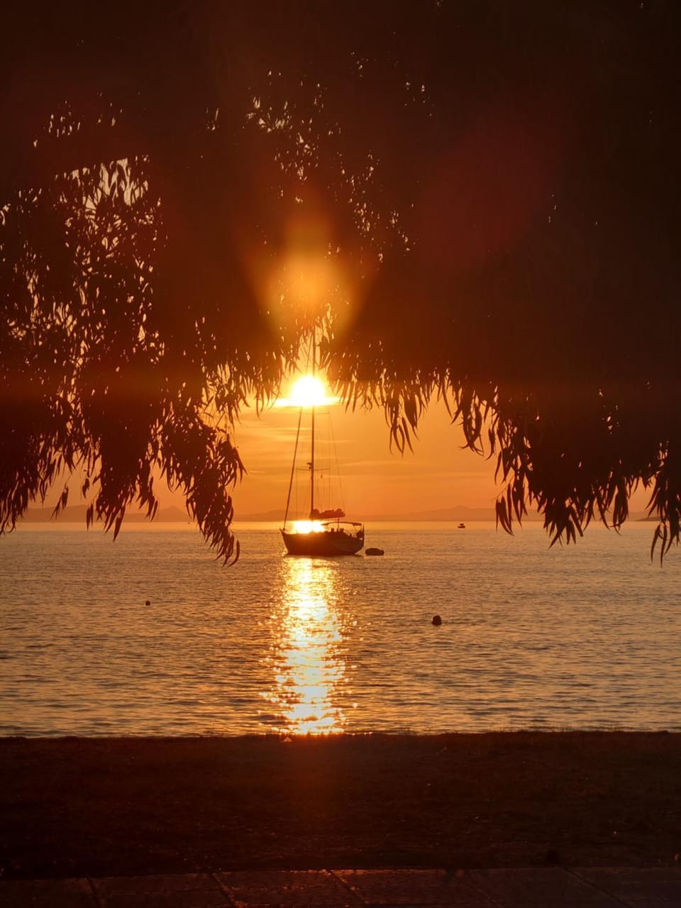 Natural landscape, Beach, Sunset