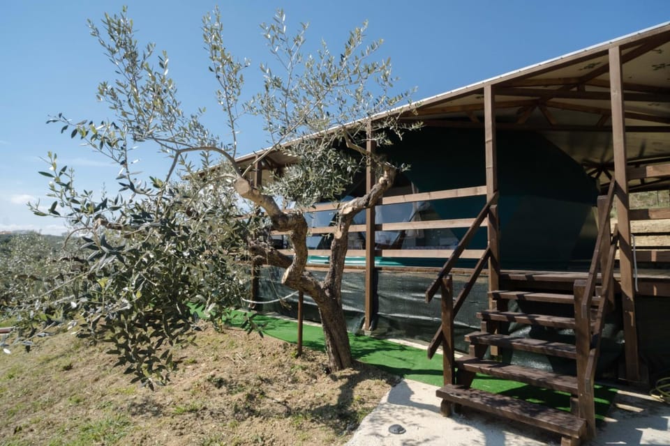 Property building, Spring, Day, Garden, Garden view