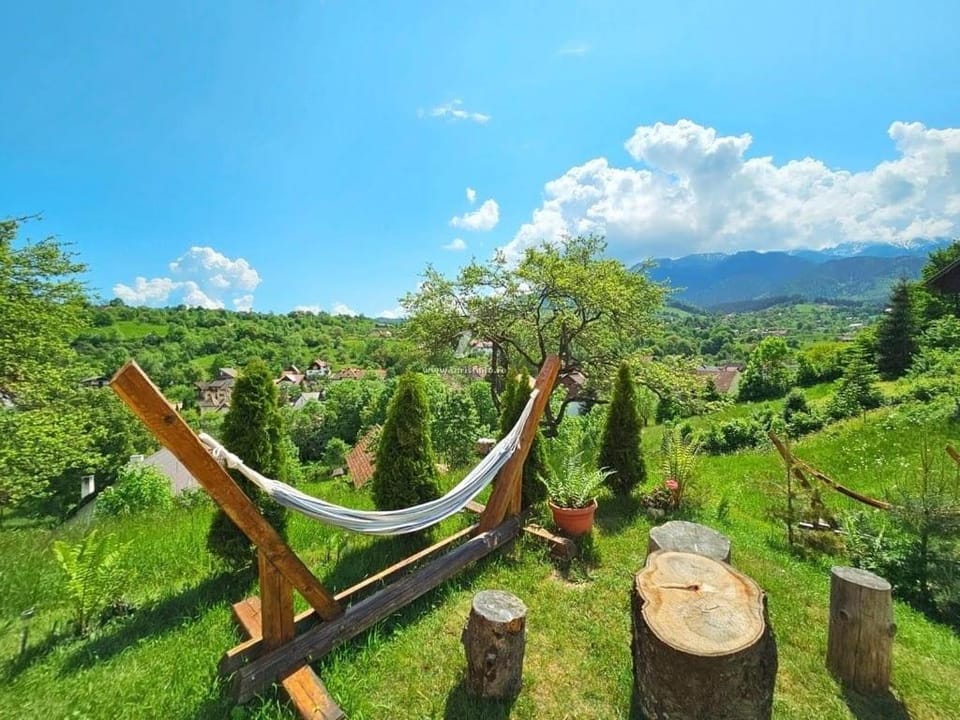 Casa Iulia si Bogdan Villa in Bran
